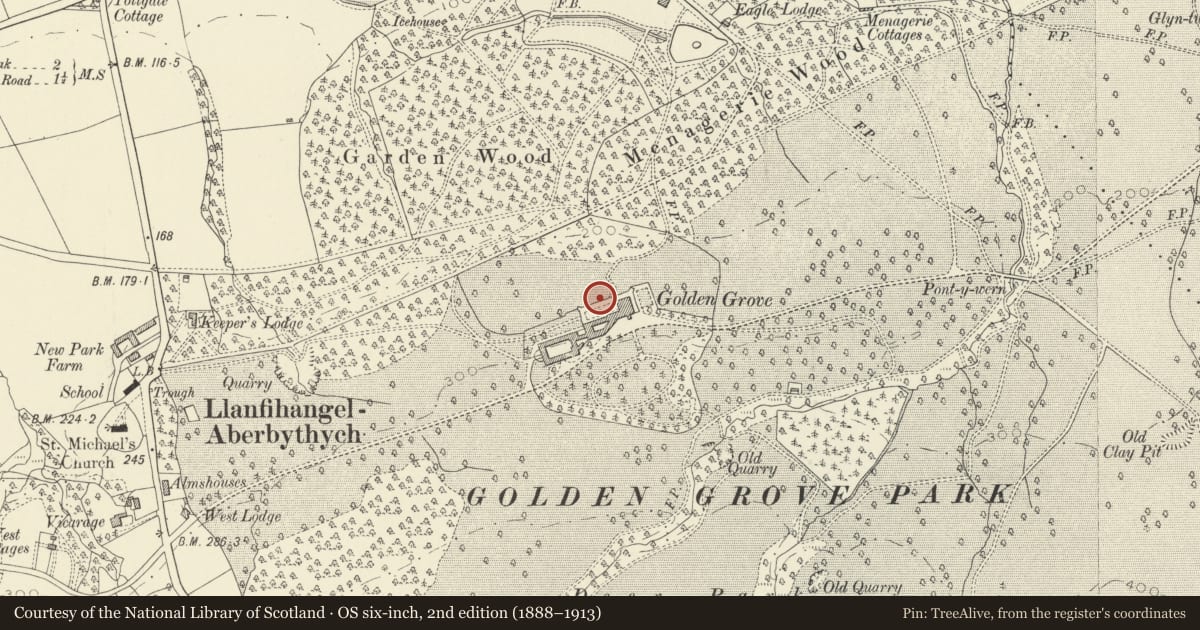 Ordnance Survey six-inch map, 2nd edition (1888–1913) covering the location of Golden Grove Terrace, Llanfihangel Aberbythych, Carmarthenshire, with a pin at the register's coordinates