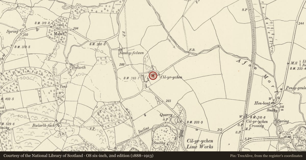Ordnance Survey six-inch map, 2nd edition (1888–1913) covering the location of Cil-yr-ychen Farmhouse, Llandybie, Carmarthenshire, with a pin at the register's coordinates