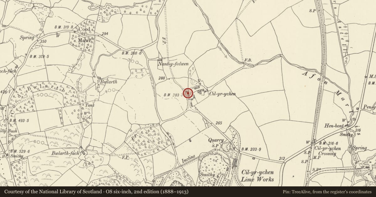 Ordnance Survey six-inch map, 2nd edition (1888–1913) covering the location of Cil-yr-ychen Barn Range, Llandybie, Carmarthenshire, with a pin at the register's coordinates
