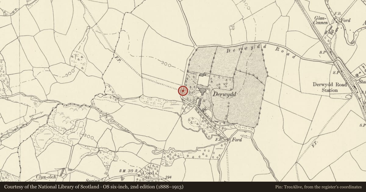 Ordnance Survey six-inch map, 2nd edition (1888–1913) covering the location of Derwydd Outer Wall and Gates, Llandybie, Carmarthenshire, with a pin at the register's coordinates