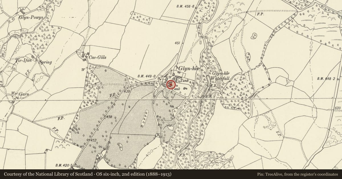 Ordnance Survey six-inch map, 2nd edition (1888–1913) covering the location of Glynhir Coach-house, Llandybie, Carmarthenshire, with a pin at the register's coordinates