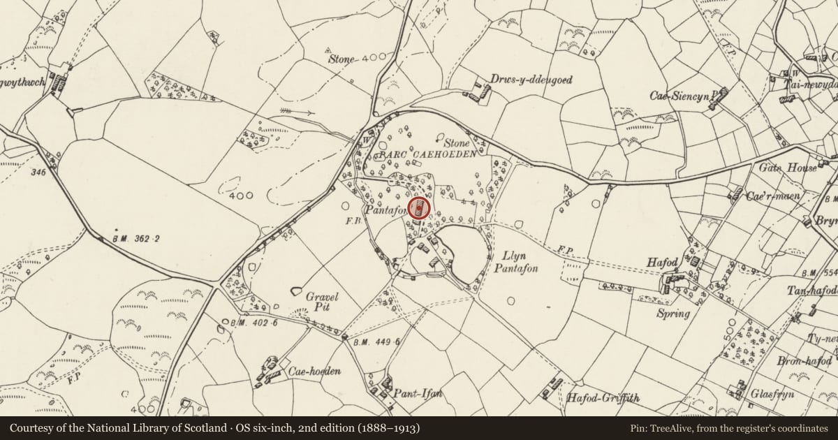 Ordnance Survey six-inch map, 2nd edition (1888–1913) covering the location of Pant Afon, Llanrug, Gwynedd, with a pin at the register's coordinates