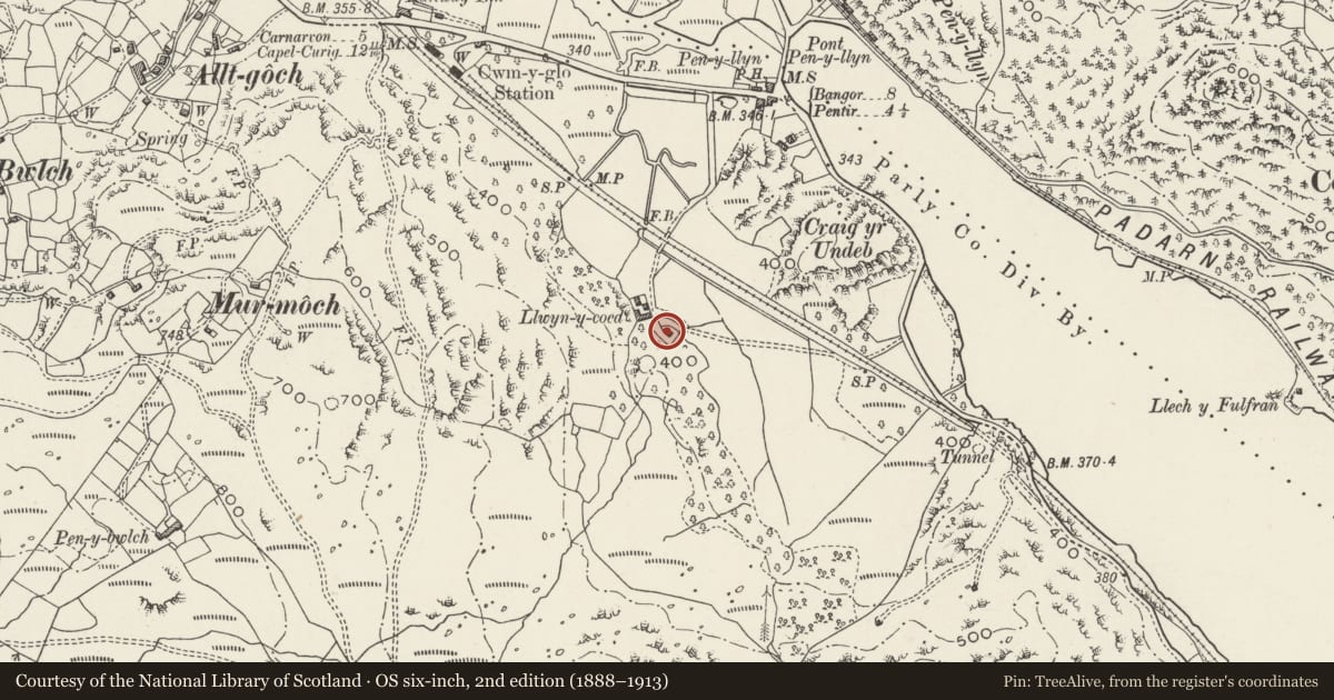 Ordnance Survey six-inch map, 2nd edition (1888–1913) covering the location of Llwyn Coed, Llanrug, Gwynedd, with a pin at the register's coordinates