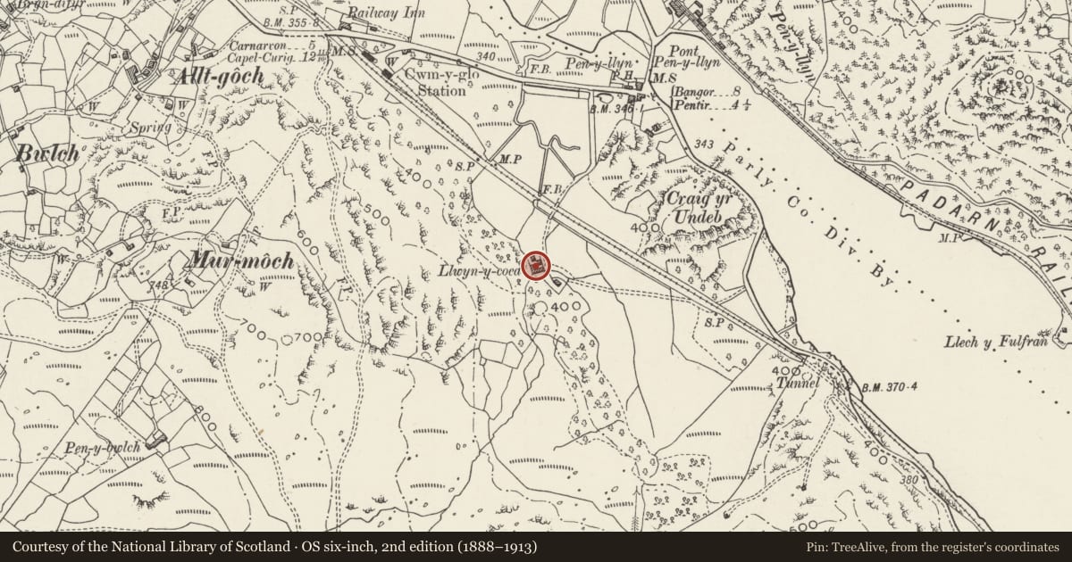 Ordnance Survey six-inch map, 2nd edition (1888–1913) covering the location of Farmbuildings and screen wall at Llwyn Coed, Llanrug, Gwynedd, with a pin at the register's coordinates