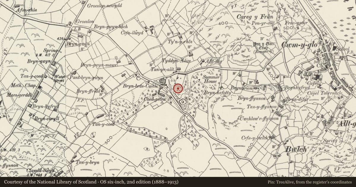 Ordnance Survey six-inch map, 2nd edition (1888–1913) covering the location of Walled 'knot' garden at Bryn Bras Castle, Llanrug, Gwynedd, with a pin at the register's coordinates