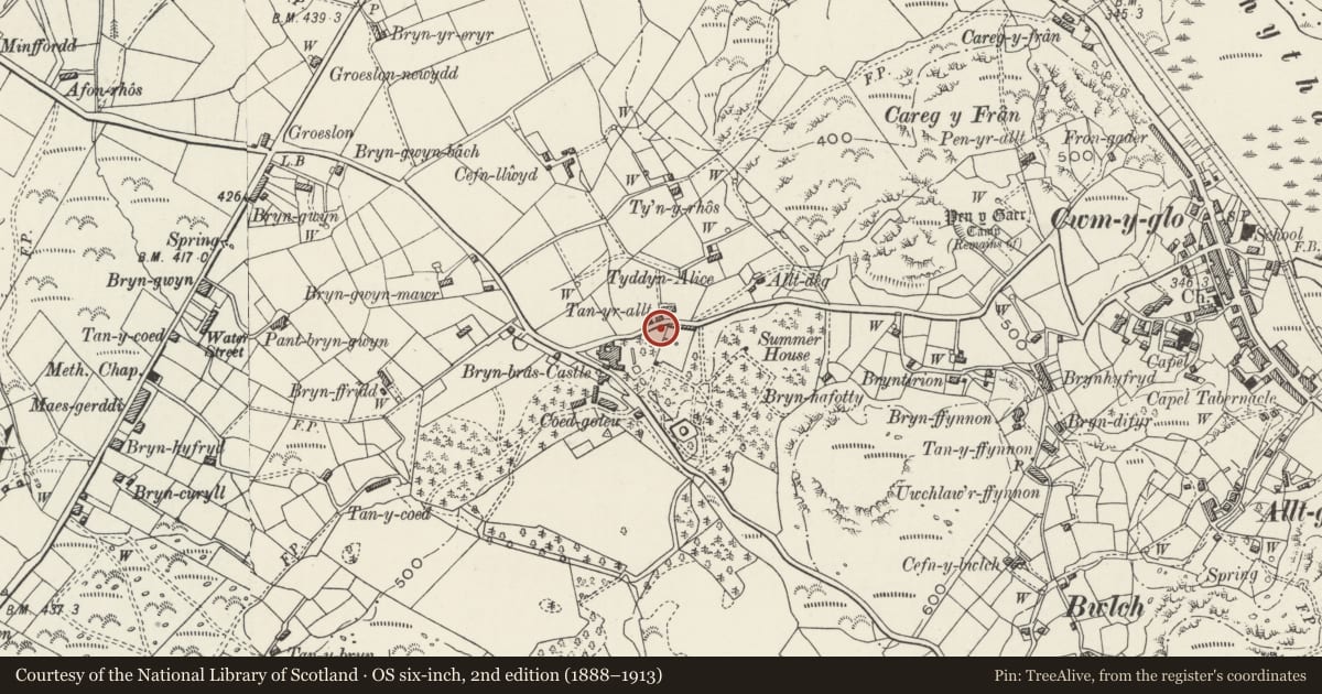 Ordnance Survey six-inch map, 2nd edition (1888–1913) covering the location of Summerhouse at Bryn Bras Castle, Llanrug, Gwynedd, with a pin at the register's coordinates