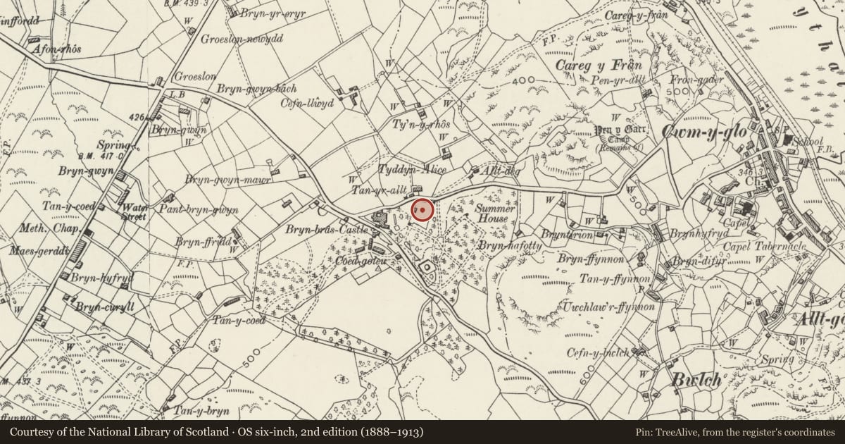Ordnance Survey six-inch map, 2nd edition (1888–1913) covering the location of Pan figure and pool in walled 'knot' garden at Bryn Bras Castle, Llanrug, Gwynedd, with a pin at the register's coordinates