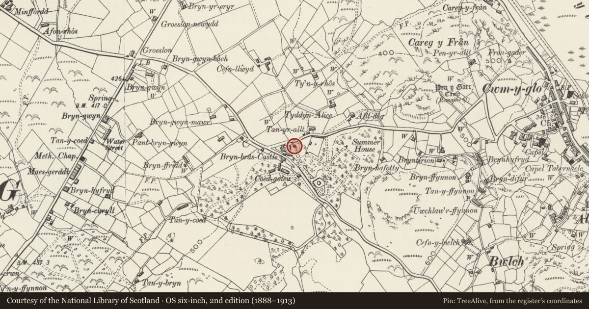 Ordnance Survey six-inch map, 2nd edition (1888–1913) covering the location of Gladiator statue (north) at Bryn Bras Castle, Llanrug, Gwynedd, with a pin at the register's coordinates