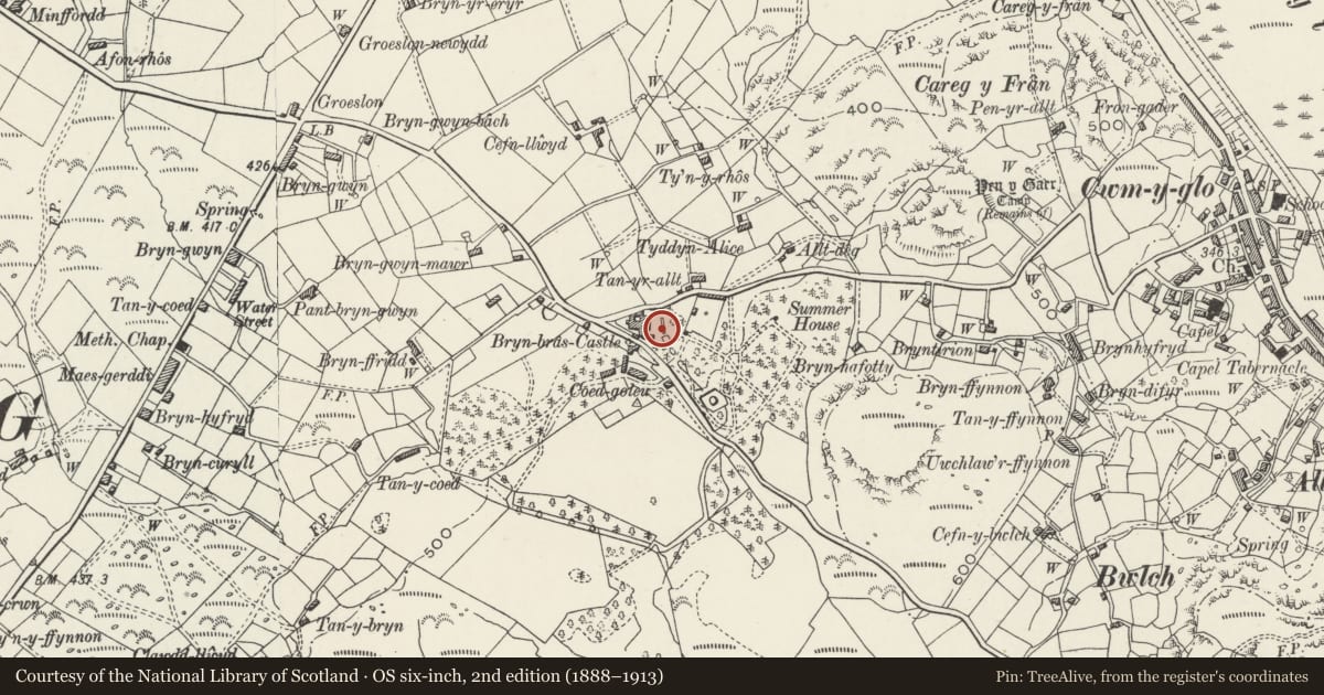 Ordnance Survey six-inch map, 2nd edition (1888–1913) covering the location of Gladiator statue (south) at Bryn Bras Castle, Llanrug, Gwynedd, with a pin at the register's coordinates