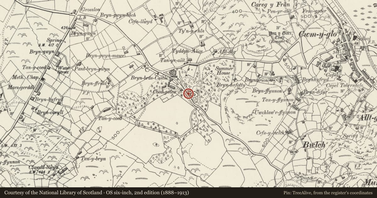 Ordnance Survey six-inch map, 2nd edition (1888–1913) covering the location of Boundary wall, gateways & turrets at Bryn Bras Castle, Llanrug, Gwynedd, with a pin at the register's coordinates