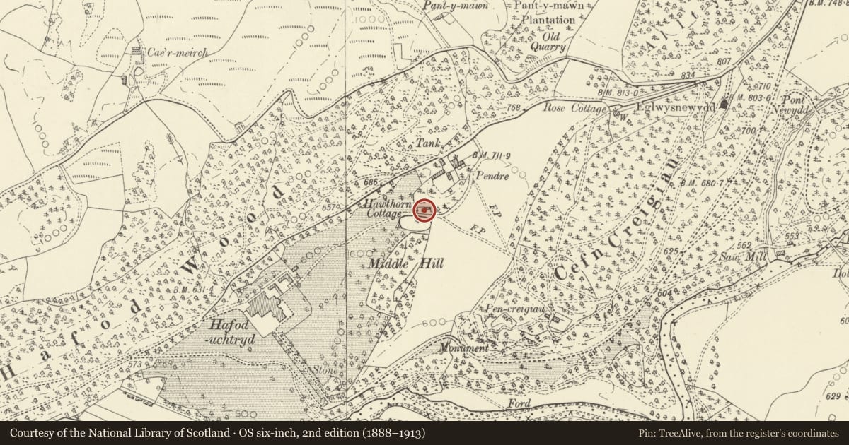 Ordnance Survey six-inch map, 2nd edition (1888–1913) covering the location of Hawthorn Cottage, Pontarfynach, Ceredigion, with a pin at the register's coordinates
