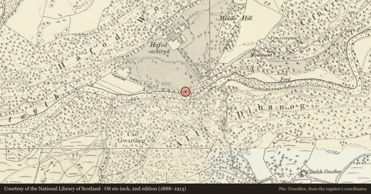 Ordnance Survey six-inch map, 2nd edition (1888–1913) covering the location of Ice House at Hafod, Pontarfynach, Ceredigion, with a pin at the register's coordinates