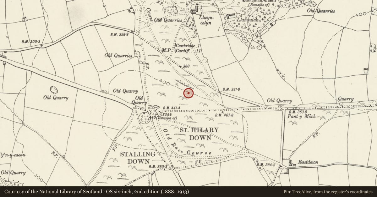 Ordnance Survey six-inch map, 2nd edition (1888–1913) covering the location of Glamorgan Yeomanry War Memorial, Cowbridge with Llanblethian, Vale of Glamorgan, with a pin at the register's coordinates