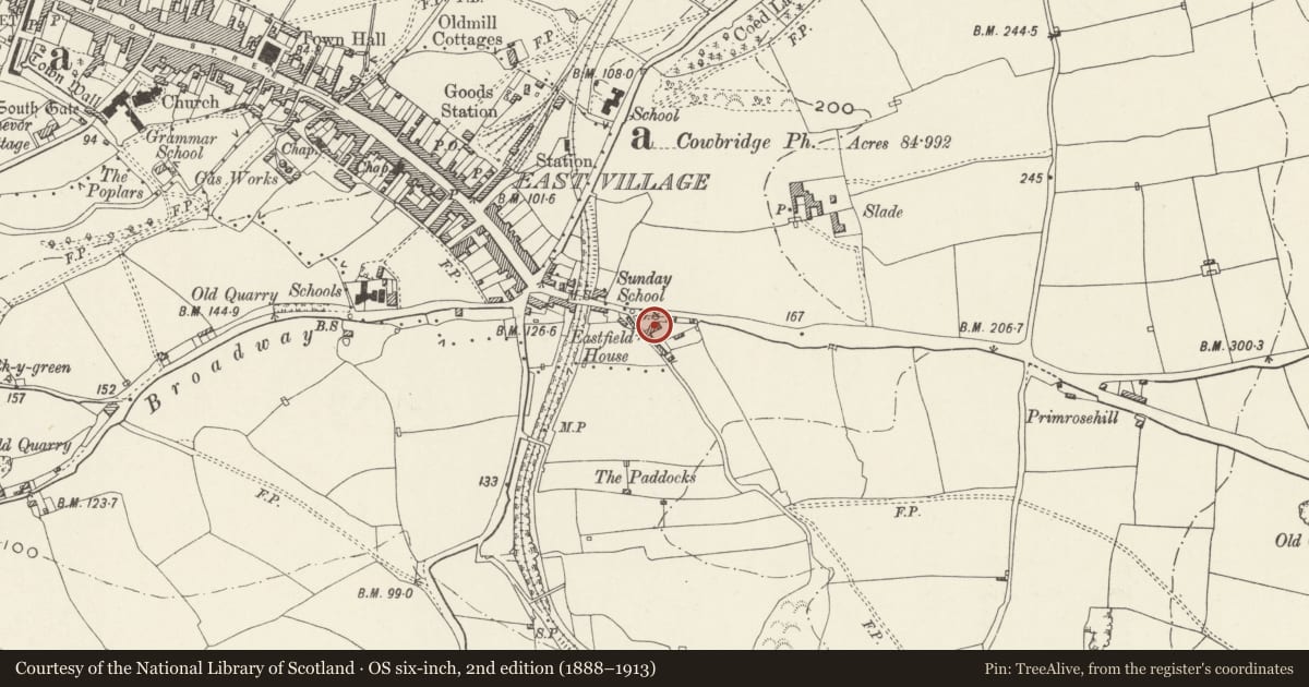 Ordnance Survey six-inch map, 2nd edition (1888–1913) covering the location of Eastfield, Cowbridge with Llanblethian, Vale of Glamorgan, with a pin at the register's coordinates