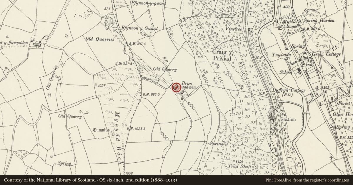 Ordnance Survey six-inch map, 2nd edition (1888–1913) covering the location of Brynysgawen and attached farm range, Ynysddu, Caerphilly, with a pin at the register's coordinates