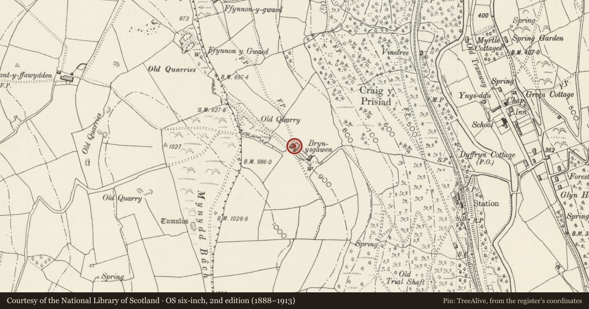 Ordnance Survey six-inch map, 2nd edition (1888–1913) covering the location of Stable block at Brynysgawen, Ynysddu, Caerphilly, with a pin at the register's coordinates