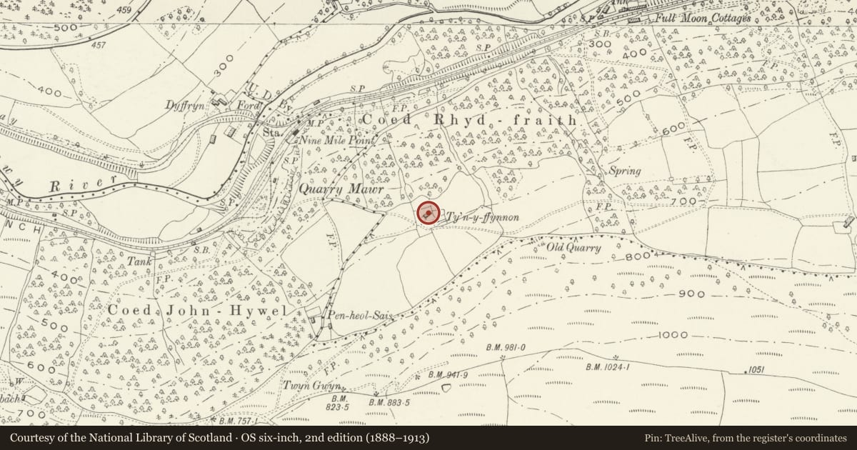 Ordnance Survey six-inch map, 2nd edition (1888–1913) covering the location of Ty'n-y-ffynnon, Ynysddu, Caerphilly, with a pin at the register's coordinates