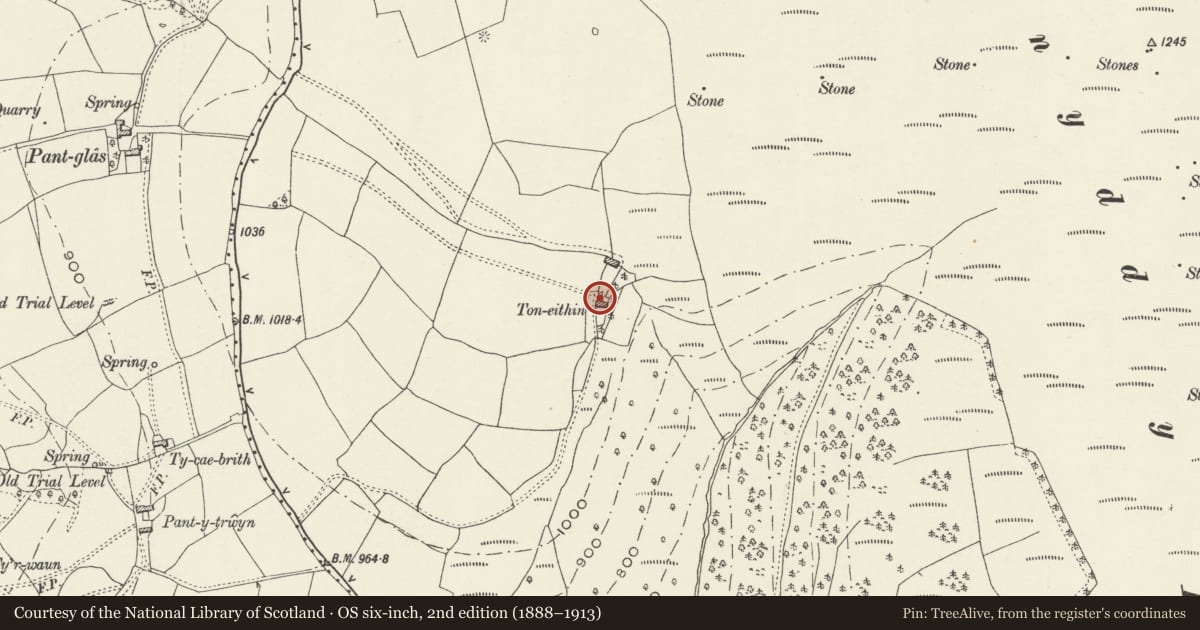 Ordnance Survey six-inch map, 2nd edition (1888–1913) covering the location of Ton-eithin, Ynysddu, Caerphilly, with a pin at the register's coordinates