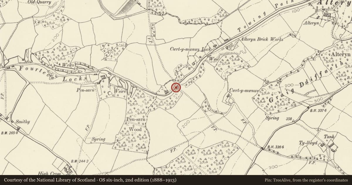 Ordnance Survey six-inch map, 2nd edition (1888–1913) covering the location of Bridge over the Monmouthshire and Brecon Canal near Pound-wern Cottage, Allt-yr-Yn, Newport, with a pin at the register's coordinates