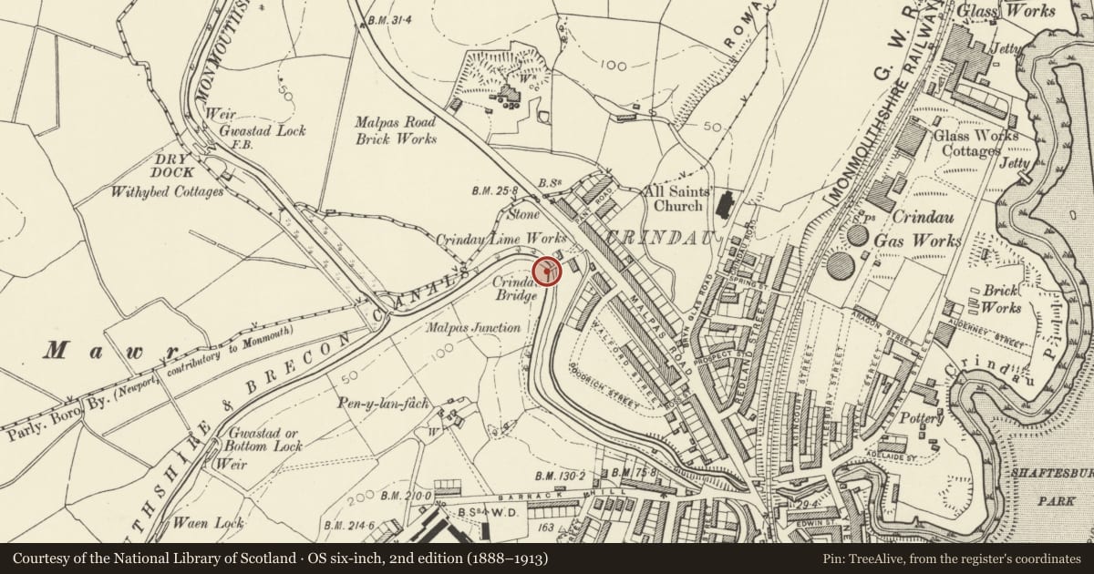 Ordnance Survey six-inch map, 2nd edition (1888–1913) covering the location of Crindau Bridge, Monmouthshire and Brecon Canal (partly in Shaftesbury Community), Allt-yr-Yn, Newport, with a pin at the register's coordinates