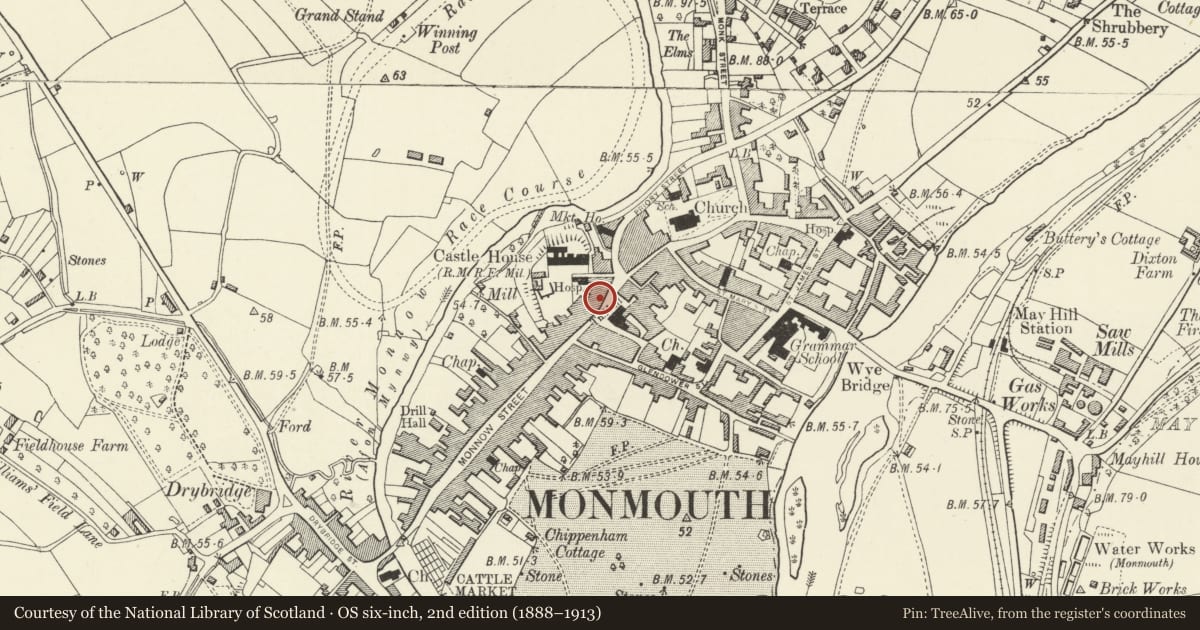 Ordnance Survey six-inch map, 2nd edition (1888–1913) covering the location of 16 Agincourt Square, Monmouth, Monmouthshire, with a pin at the register's coordinates