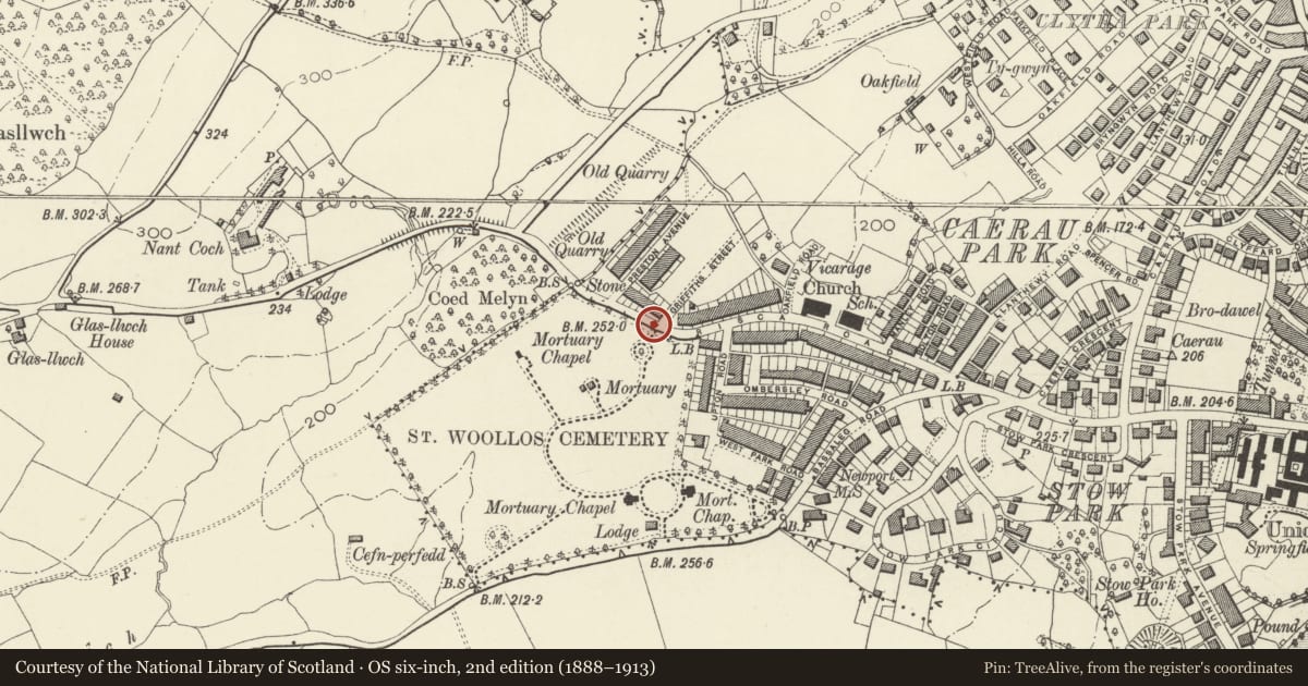 Ordnance Survey six-inch map, 2nd edition (1888–1913) covering the location of East gates, piers and flanking walls to St Woolos Cemetery, Allt-yr-Yn, Newport, with a pin at the register's coordinates