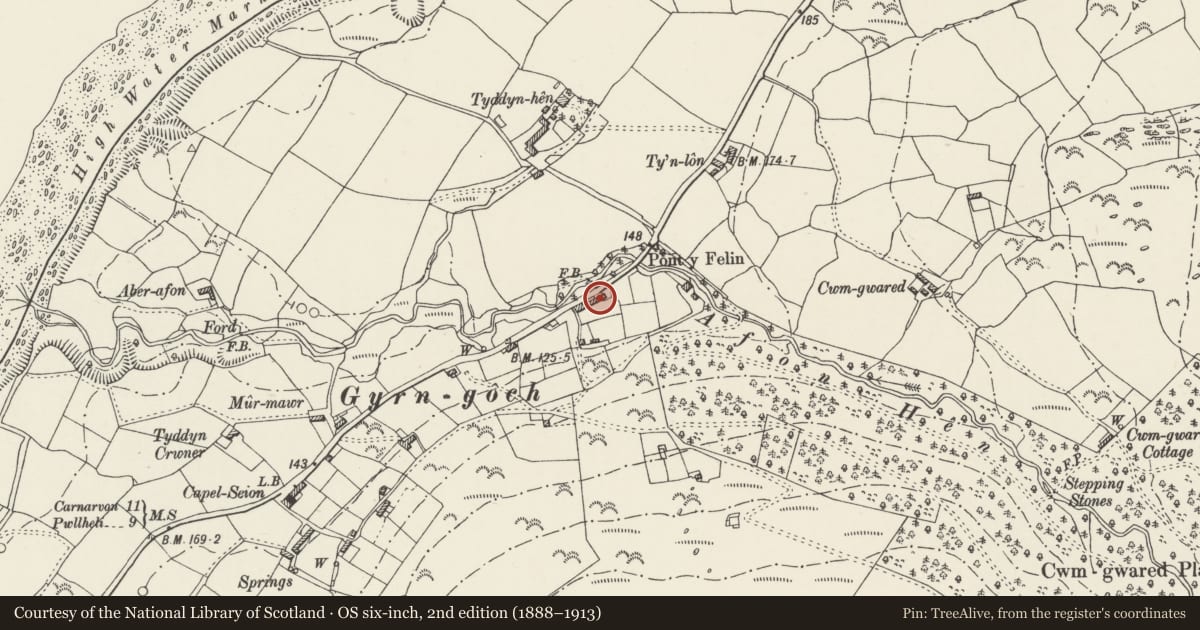 Ordnance Survey six-inch map, 2nd edition (1888–1913) covering the location of 1 & 2 Sportsman's Row, Clynnog, Gwynedd, with a pin at the register's coordinates