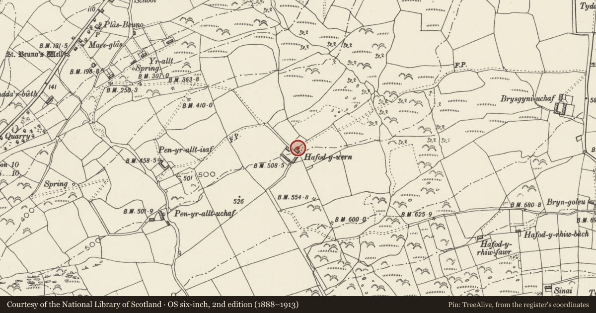 Ordnance Survey six-inch map, 2nd edition (1888–1913) covering the location of Hafod-y-wern Farmhouse, Clynnog, Gwynedd, with a pin at the register's coordinates