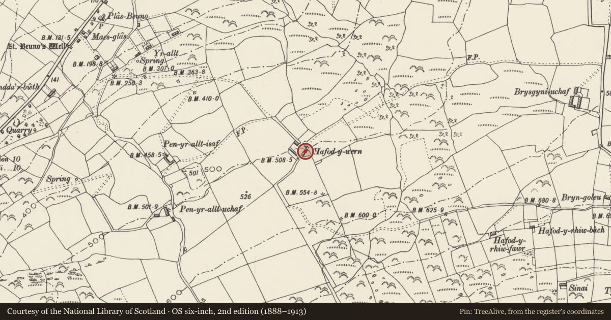 Ordnance Survey six-inch map, 2nd edition (1888–1913) covering the location of SE range of farm buildings at Hafod-y-wern, Clynnog, Gwynedd, with a pin at the register's coordinates