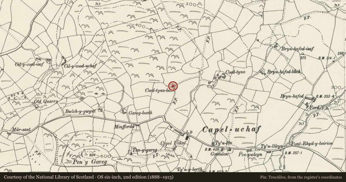 Ordnance Survey six-inch map, 2nd edition (1888–1913) covering the location of Coed tyno-bach, Clynnog, Gwynedd, with a pin at the register's coordinates