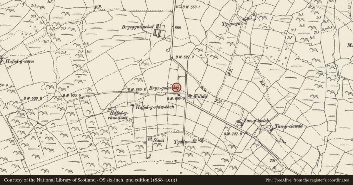 Ordnance Survey six-inch map, 2nd edition (1888–1913) covering the location of Bryn-goleu, Clynnog, Gwynedd, with a pin at the register's coordinates