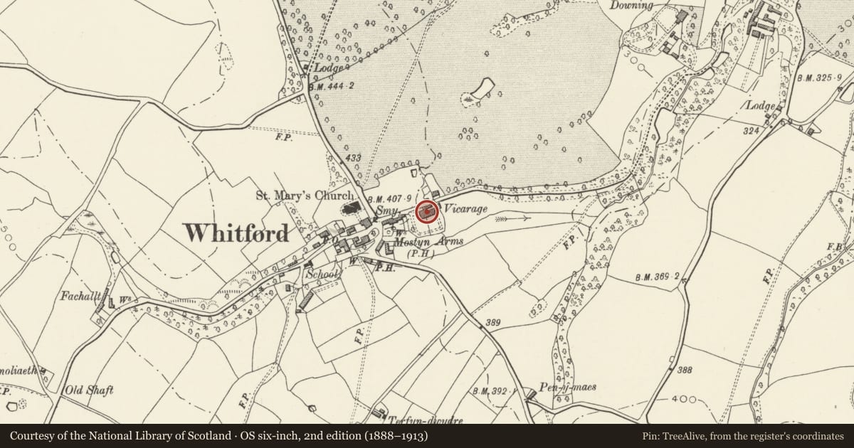 Ordnance Survey six-inch map, 2nd edition (1888–1913) covering the location of Llys Mair, Whitford, Flintshire, with a pin at the register's coordinates