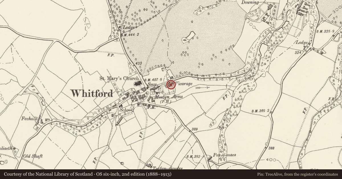 Ordnance Survey six-inch map, 2nd edition (1888–1913) covering the location of Stable/Cartshed Range on S side of yard to Llys Mair, Whitford, Flintshire, with a pin at the register's coordinates