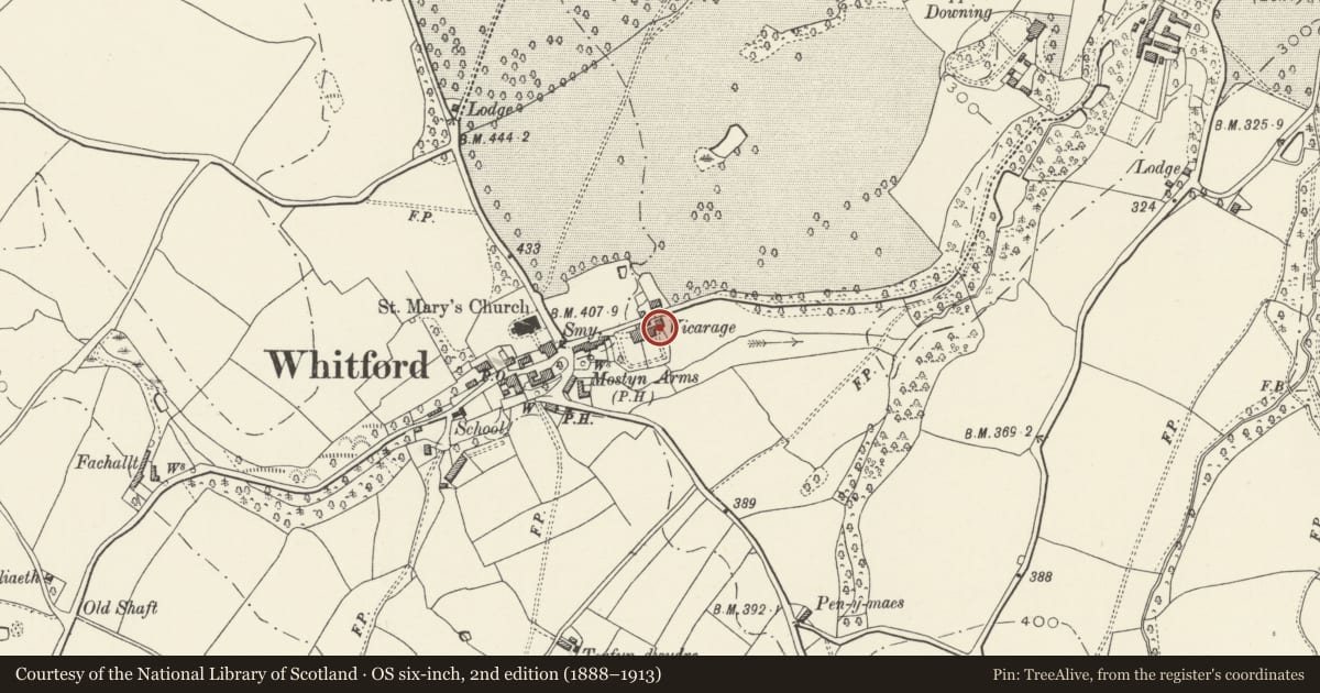 Ordnance Survey six-inch map, 2nd edition (1888–1913) covering the location of Former Cartshed in rear yard of Llys Mair, Whitford, Flintshire, with a pin at the register's coordinates