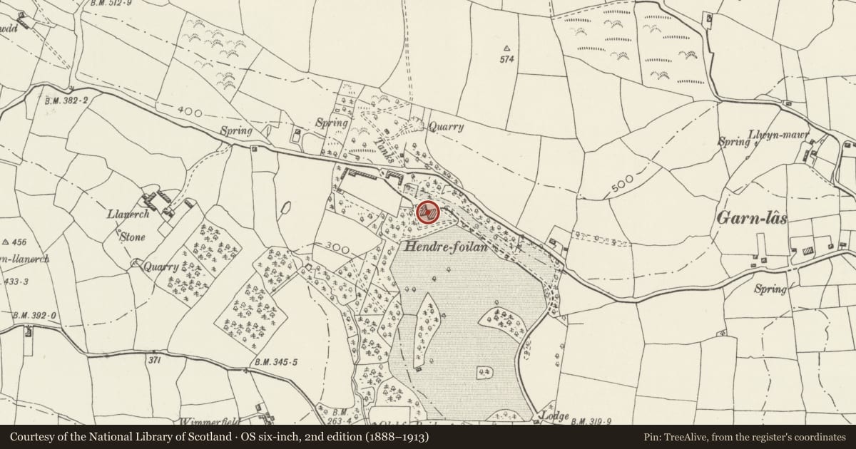 Ordnance Survey six-inch map, 2nd edition (1888–1913) covering the location of Hendrefoilan, Killay, Swansea, with a pin at the register's coordinates
