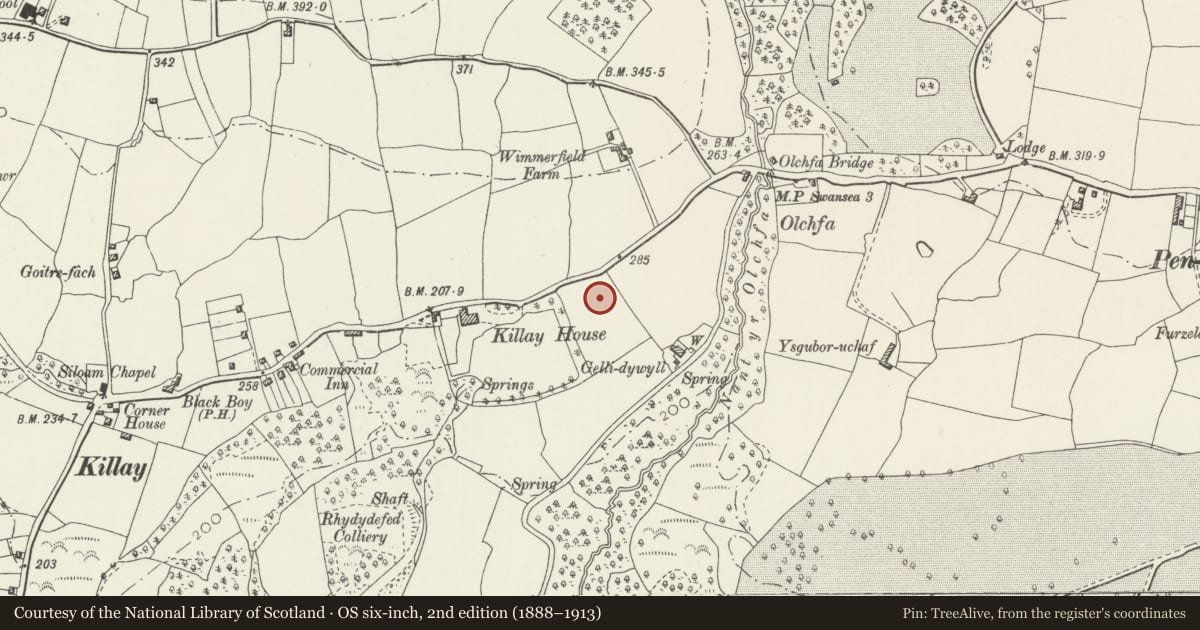 Ordnance Survey six-inch map, 2nd edition (1888–1913) covering the location of Glen Hir, Killay, Swansea, with a pin at the register's coordinates
