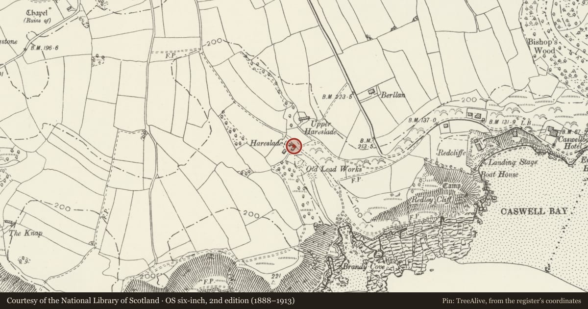 Ordnance Survey six-inch map, 2nd edition (1888–1913) covering the location of Hareslade, Bishopston, Swansea, with a pin at the register's coordinates