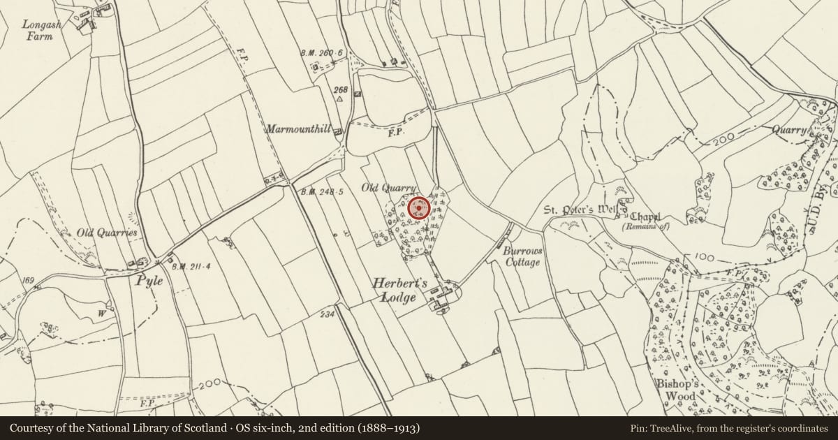 Ordnance Survey six-inch map, 2nd edition (1888–1913) covering the location of Limekiln at Cwrt Herbert, Bishopston, Swansea, with a pin at the register's coordinates