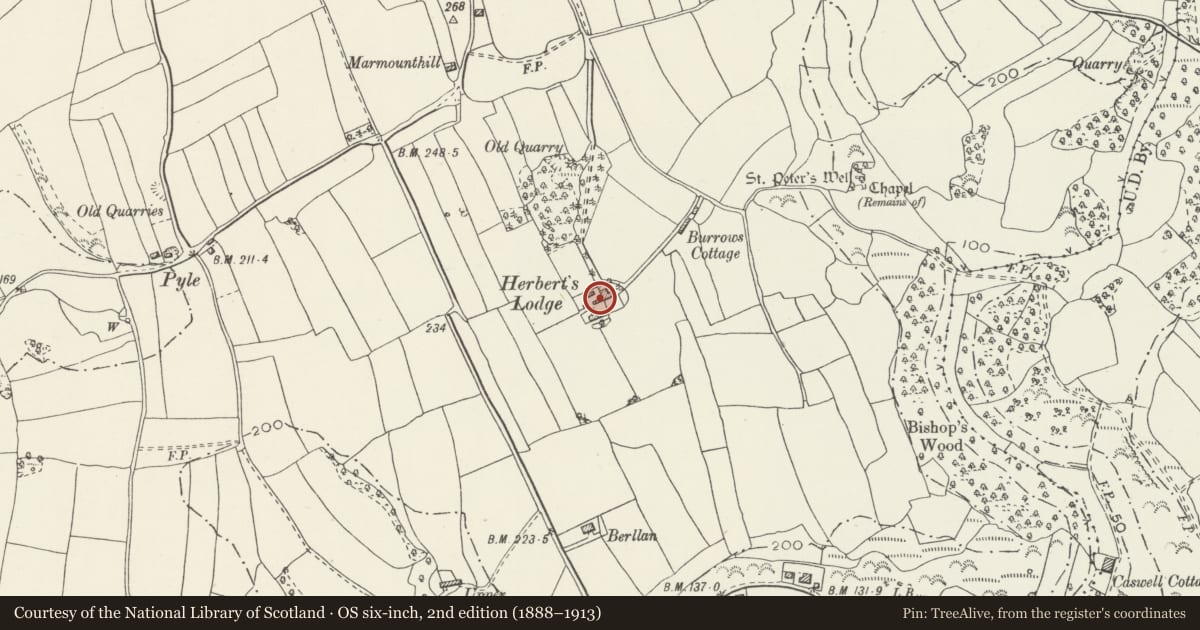 Ordnance Survey six-inch map, 2nd edition (1888–1913) covering the location of Herbert's Lodge, Bishopston, Swansea, with a pin at the register's coordinates