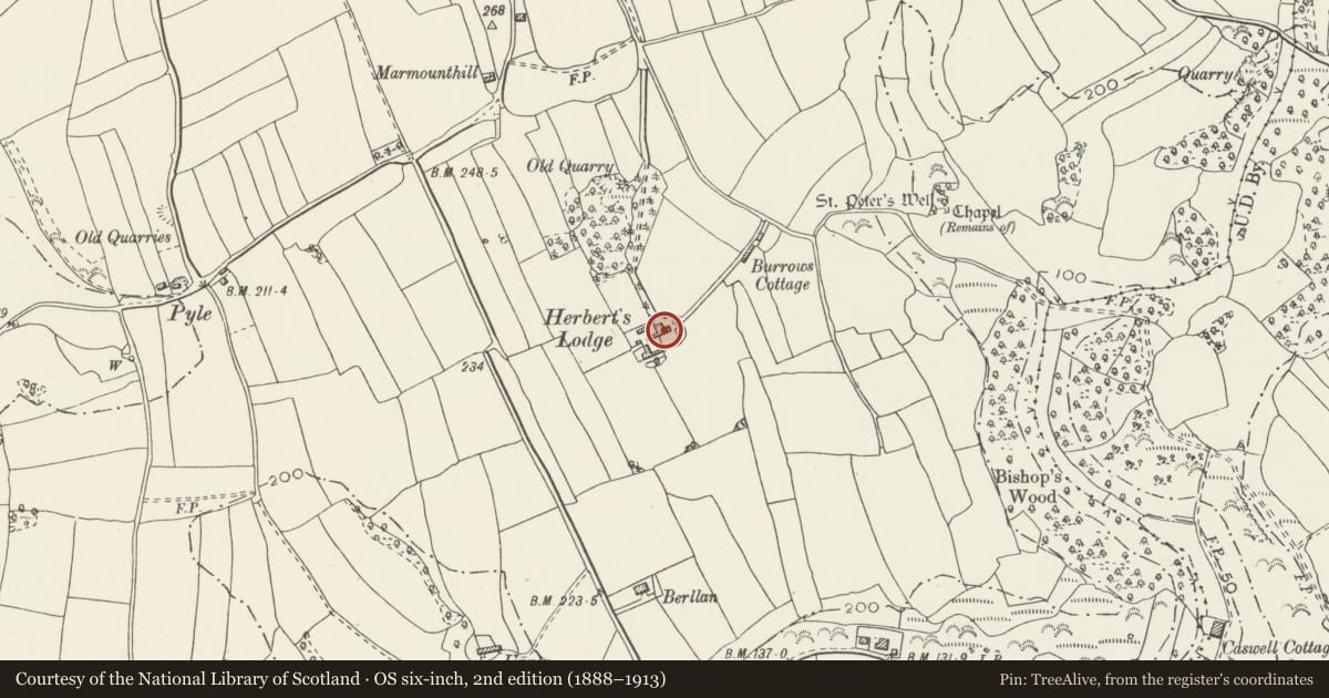 Ordnance Survey six-inch map, 2nd edition (1888–1913) covering the location of Cwrt Herbert, Bishopston, Swansea, with a pin at the register's coordinates