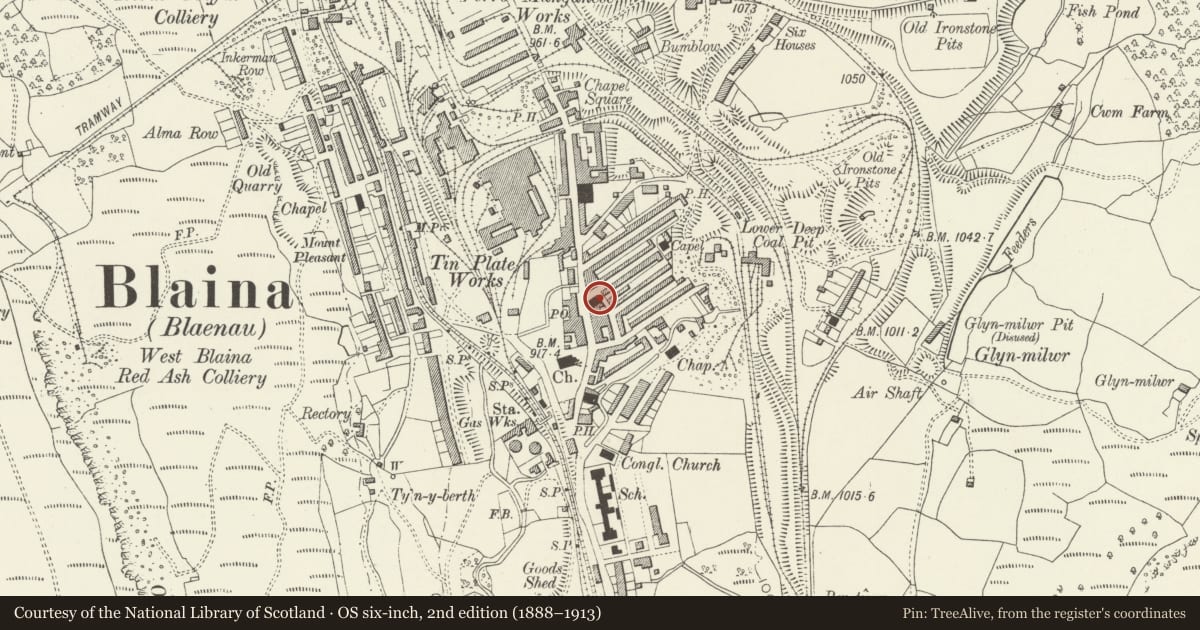 Ordnance Survey six-inch map, 2nd edition (1888–1913) covering the location of Salem Baptist Chapel, Nantyglo and Blaina, Blaenau Gwent, with a pin at the register's coordinates