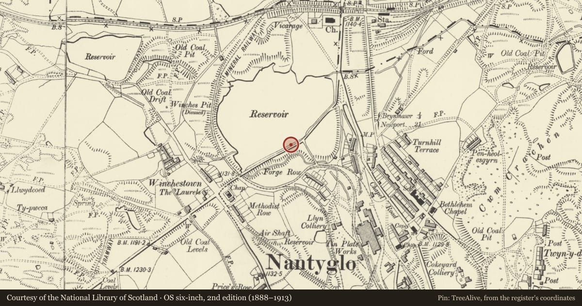 Ordnance Survey six-inch map, 2nd edition (1888–1913) covering the location of Former Pump House at Dunlop Semtex Factory, Nantyglo and Blaina, Blaenau Gwent, with a pin at the register's coordinates