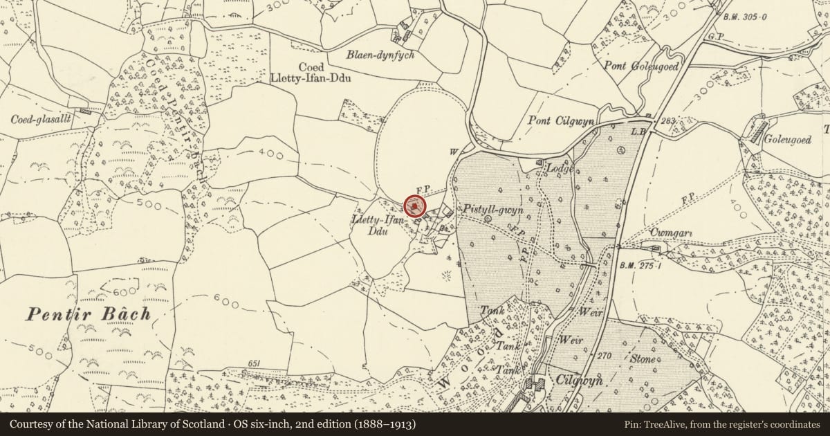 Ordnance Survey six-inch map, 2nd edition (1888–1913) covering the location of Llety Ifan Ddu, Myddfai, Carmarthenshire, with a pin at the register's coordinates