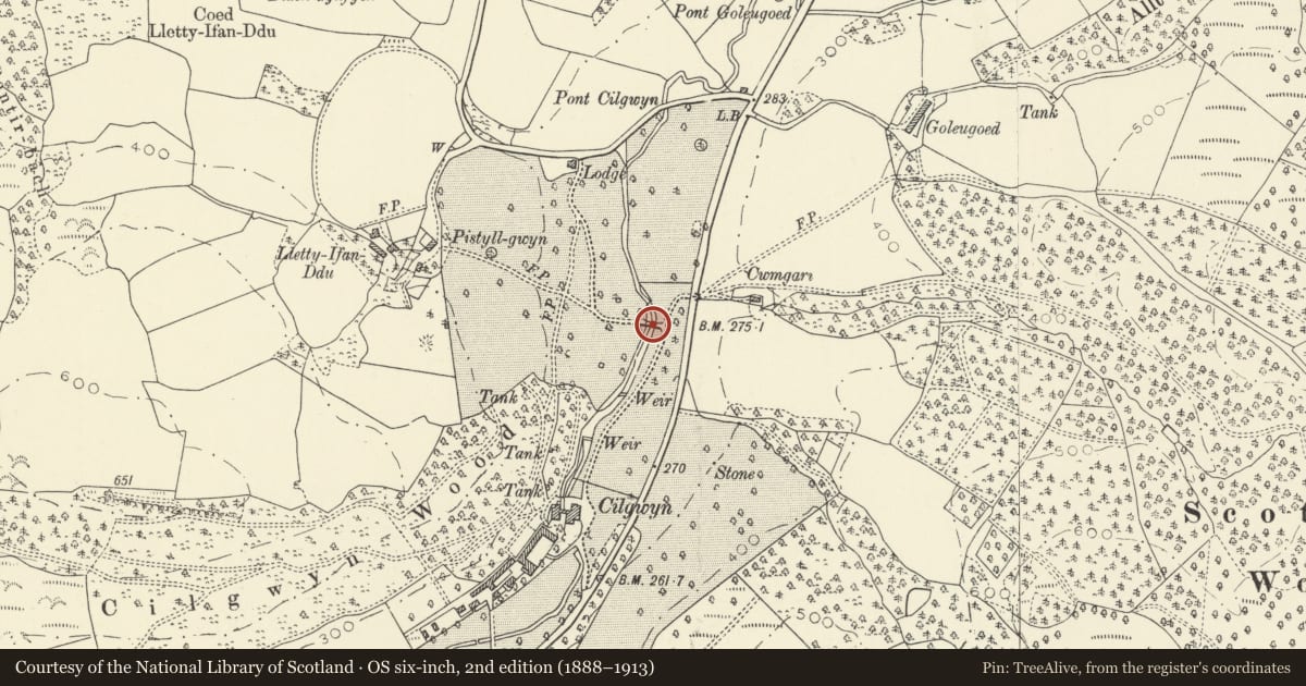Ordnance Survey six-inch map, 2nd edition (1888–1913) covering the location of Field bridge to N of Cilgwyn, Myddfai, Carmarthenshire, with a pin at the register's coordinates