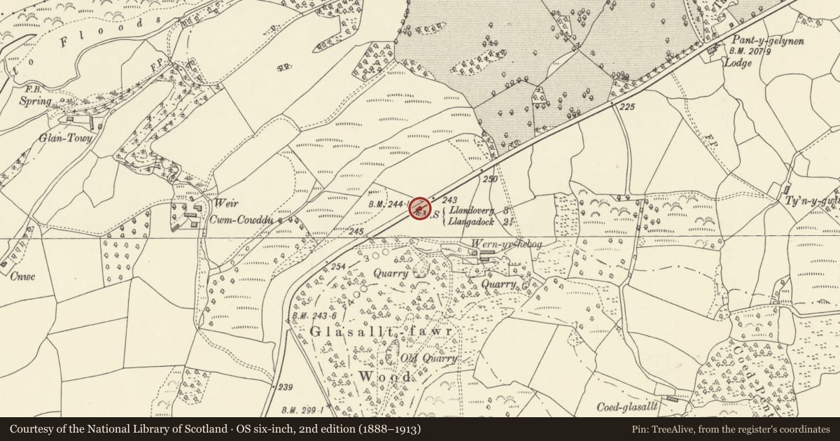Ordnance Survey six-inch map, 2nd edition (1888–1913) covering the location of Milestone near Coedglassallt, Myddfai, Carmarthenshire, with a pin at the register's coordinates