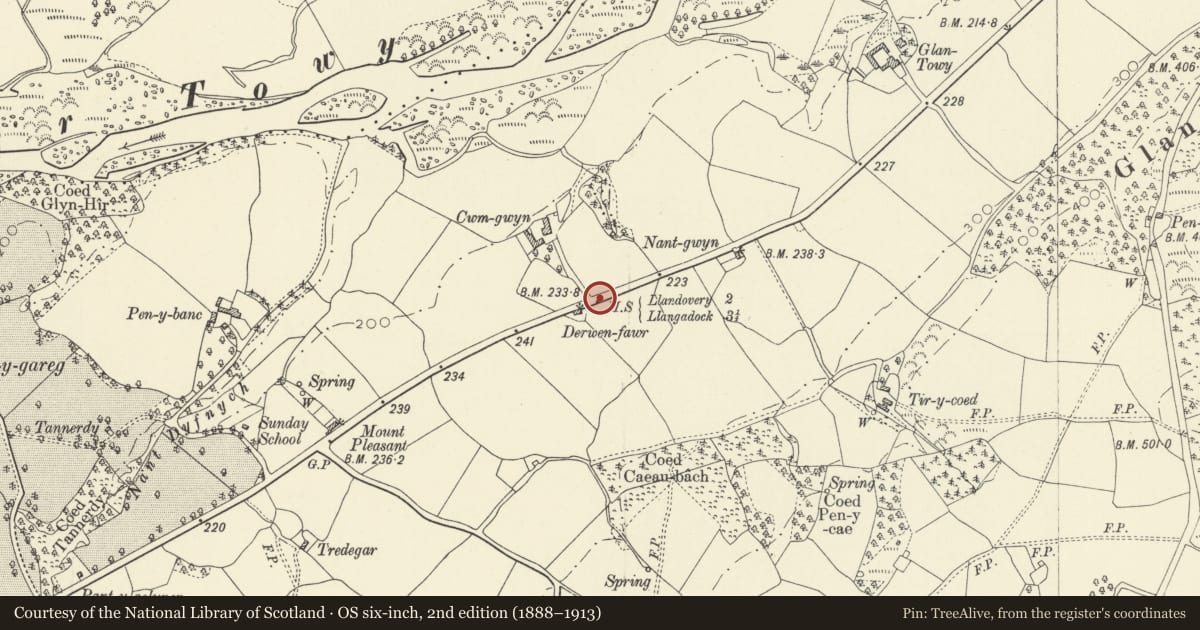 Ordnance Survey six-inch map, 2nd edition (1888–1913) covering the location of Milestone near Derwenfawr, Myddfai, Carmarthenshire, with a pin at the register's coordinates