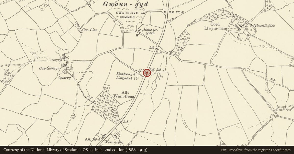 Ordnance Survey six-inch map, 2nd edition (1888–1913) covering the location of Milestone near Green Grove, Myddfai, Carmarthenshire, with a pin at the register's coordinates