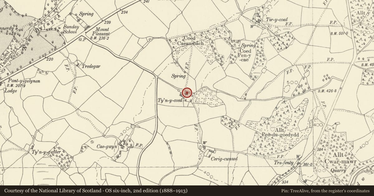 Ordnance Survey six-inch map, 2nd edition (1888–1913) covering the location of Ty'n y coed, Myddfai, Carmarthenshire, with a pin at the register's coordinates
