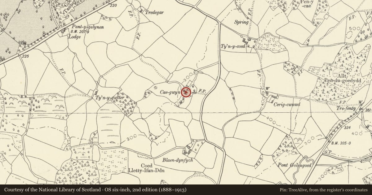 Ordnance Survey six-inch map, 2nd edition (1888–1913) covering the location of Caegwyn, Myddfai, Carmarthenshire, with a pin at the register's coordinates