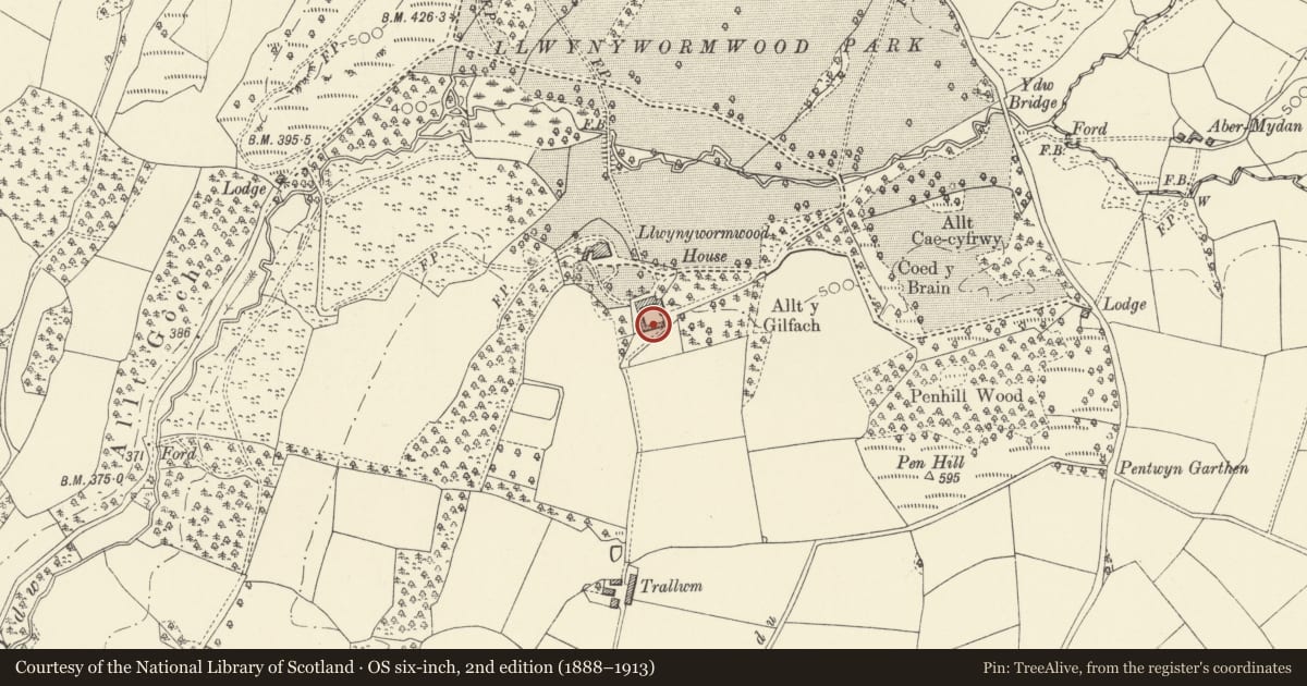 Ordnance Survey six-inch map, 2nd edition (1888–1913) covering the location of Barn at Llwynywormwood, Myddfai, Carmarthenshire, with a pin at the register's coordinates